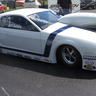 Shark4488