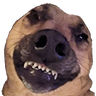 MtheRatGod