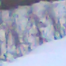 drozd732