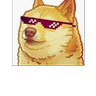 DogyStyle