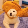 KonMLG