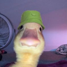 Jimbobvb