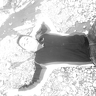 Andyx8645