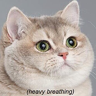 TheLunaWolfDK
