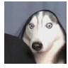 Zezyh
