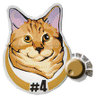 Dimey