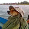 PivPavMan