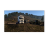 Eaglefire1231