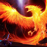 FENIX__82