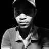 MUFASA_DANN
