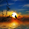 zoosk13
