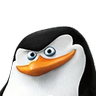 Pingvin_X