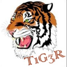 T1G3Rsk
