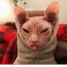 BuldozerMF