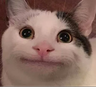 XLi0n