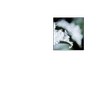 acecom