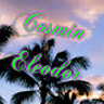 CosminEleodor
