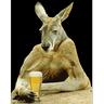 Kanguru