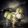 Doggpack