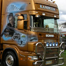 mgestrans59