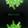 Dryzeo