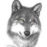 pk_lupo85