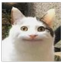 MrTiVor