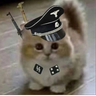 the_baran