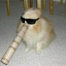 Patrezee