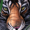 Tigor