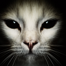 Raspnat