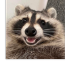 Laika5777