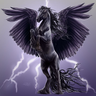 lone_shadow