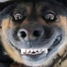 sirtrenty