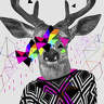 DragStar