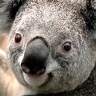 Kevin_Robertson