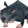 Etkne