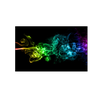 FedeBB12