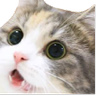 Virusy_t