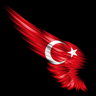 aliihsan09