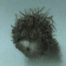 Niksen