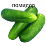 TovarishDuboviy