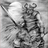 ELVIKINGO