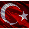 tahayildiz033