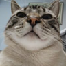 StGhosty
