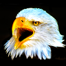 DesertEagle