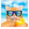 Mastercool