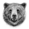 XxBearxX
