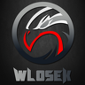 wlosek2811