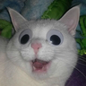 LINUXMEOW